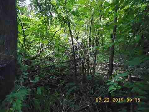 3315 Cortland (7)_m.jpg